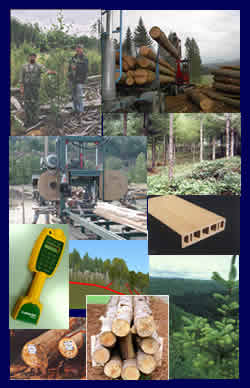 Innovation in forestry images