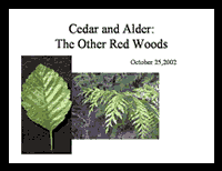 Click image to view "An Examination of Red Alder and Western Red Cedar as Alternative Plantation Choices to Douglas-fir" presentation