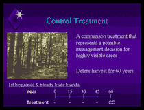 Click for "Economic Impacts of Alternative Management Schemes on the Washington State Capitol Forest" presentation