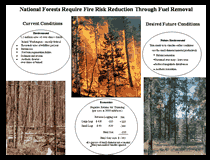 Click to view RTI's Investigation of Alternative Strategies for Layout and Administration of Fuel Removal Projects