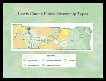 Click for "Lewis County Economic Impact" presentation