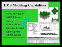 Click to veiw this LMS based presentation