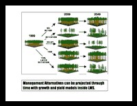 Click to view this LMS presentation