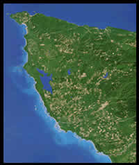 Click for the "Small Diameter Forests Opportunities and Trade-offs" presentation