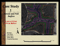 Click to view The Forest and Fish Rules and Small Landowners: The Need for Alternative Plans 