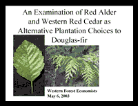 Click image to view the "An Examination of Red Alder and Western Red Cedar as Alternative Plantation Choices to Douglas-fir" presentation