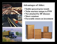Click image to view the "Opportunities and Challenges for Red Alder Management on Commercial Forestlands" presentation