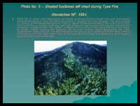 Click to view this series of  fire risk reduction slides