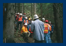 A gathering of foresters