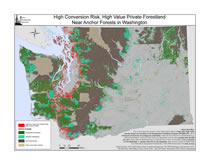 High risk high value private forest near anchor forests