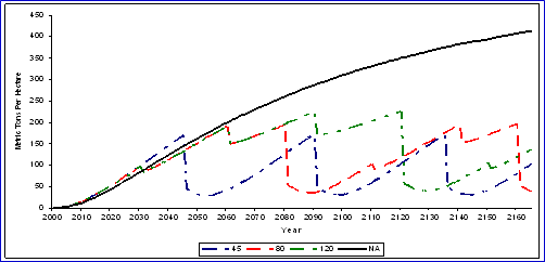 Figure 1. Carbon in forest pools for different rotations