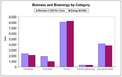Biomass and Bioenergy by Catagory