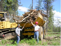 Forest biomass - unmarketable wood