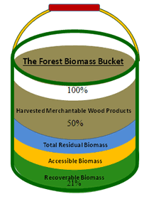 The Forest Biomass Bucket