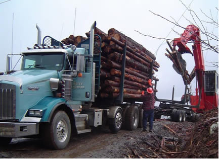 Figure 1.6. A double trailer short logger or “mule train” getting loaded (Mason).