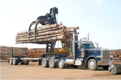 Figure 2.4.  Six-axle long-logger; unloading at the dump (Log Trucker Magazine).
