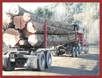 Log Truck