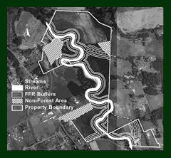 Orthophoto of Western Washington Forestland