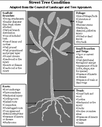 Click to enlarge Figure 5