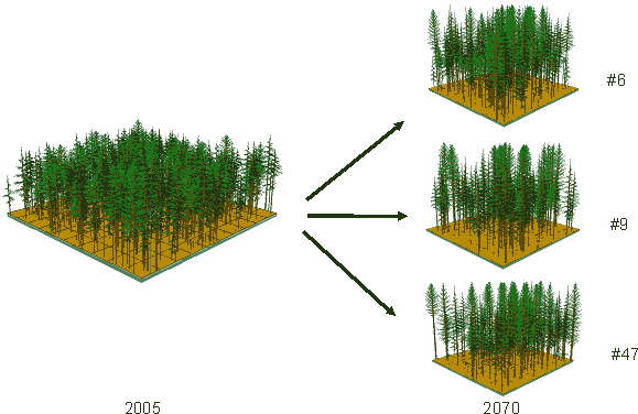 Figure 30