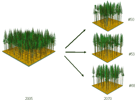 Figure 31