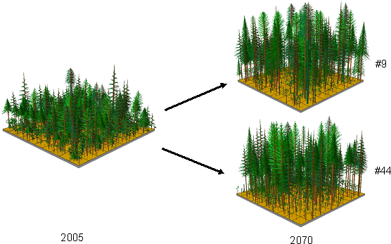 Figure 34