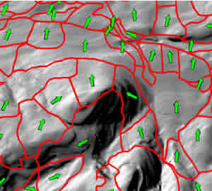 Forest stand boundaries on an analytically hillshaded digital elevation model arrows indicate calculated mean aspect per stand