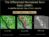 Click to View: 10. The Differenced Normalized Burn Ratio (dNBR) A satellite-derived map of burn severity