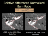 Click to View: 11. Relative differenced Normalized Burn Ratio
