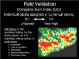 Click to View: 12. Field Validation