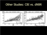 Click to View: 17. Other Studies: CBI vs. dNBR