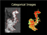 Click to View: 20. Categorical Images