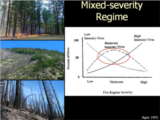 Click to View: 9. Mixed-severity Regime