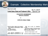 Click to View: 16. Example:  Collective Membership Mark