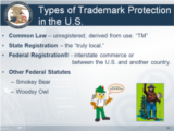 Click to View: 20. Types of Trademark Protection in the U.S.