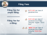 Click to View: 28. Filing Fees