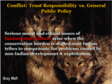 Click to View: 7. Conflict: Trust Responsibility vs. General Public Policy