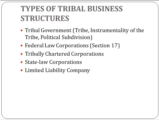 Click to View: 14. TYPES OF TRIBAL BUSINESS STRUCTURES