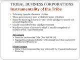 Click to View: 16. TRIBAL BUSINESS CORPORATIONS Instrumentality of the Tribe