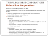 Click to View: 18. TRIBAL BUSINESS CORPORATIONS  Federal Law Corporations