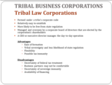 Click to View: 20. TRIBAL BUSINESS CORPORATIONS  Tribal Law Corporations