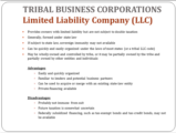 Click to View: 22. TRIBAL BUSINESS CORPORATIONS  Limited Liability Company (LLC)