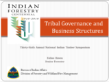Click to View: 2. Tribal Governance and  Business Structures