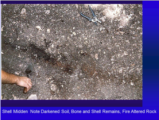 Click to View: 15. Shell Midden