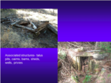 Click to View: 20. Associated structures