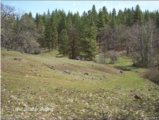 Click to View: 4. Image: habitation site