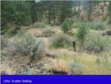 Click to View: 8. Image: habitation site