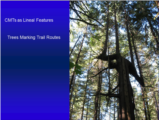 Click to View: 7. CMTs as lineal features