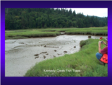 Click to View: 11. Kennedy Creek fish traps