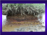 Click to View: 13. Fire pit near fish trap